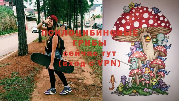 мдма Заводоуковск